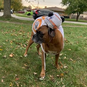 StarWars Dog costume